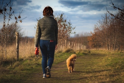 Förbättra hälsan med en hund